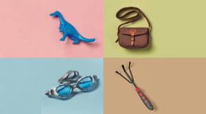 unusual outdoor pursuits- dinosaur toy, satchel, swimming goggles, trowel 